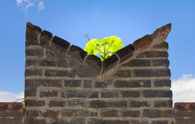 Similar image 21321043