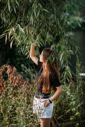 Similar image 21338536