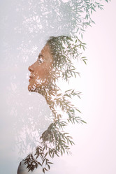 Similar image 21338799