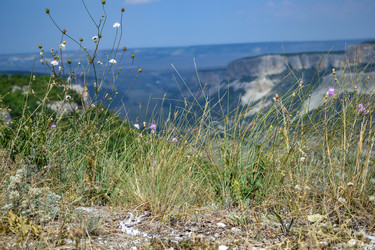 Similar image 21306753