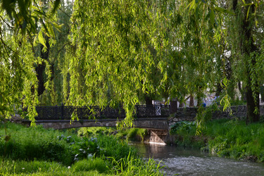 Similar image 21306754