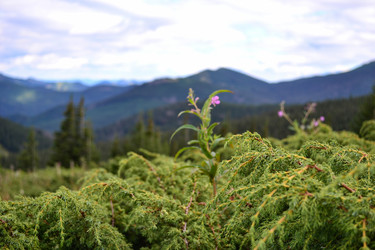 Similar image 21306755