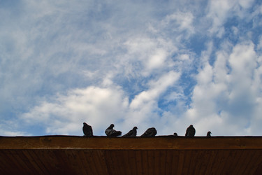 Similar image 21306758