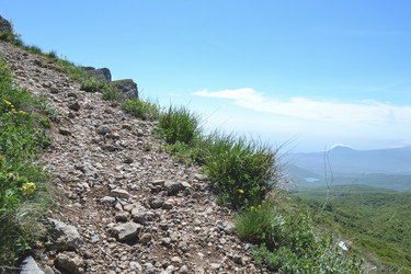 Similar image 21306759