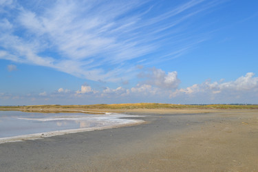 Similar image 21306760