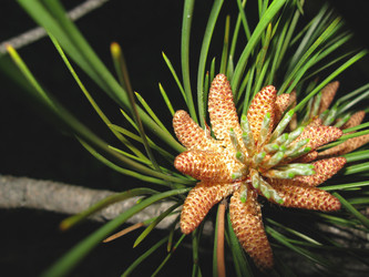 Similar image 21306764