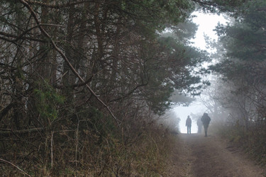 Similar image 21306766