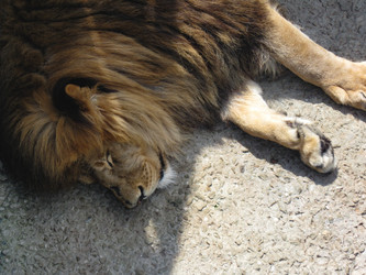 Similar image 21306767