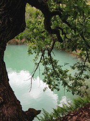 Similar image 21306770