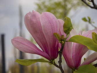 Similar image 21306097