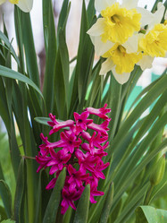 Similar image 21306098