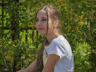 Similar image 21306101