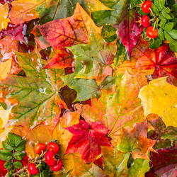 Similar image 21303959