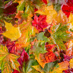 Similar image 21303967