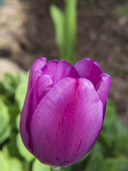 Similar image 21306104