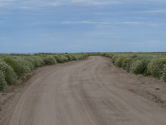 Similar image 21306109