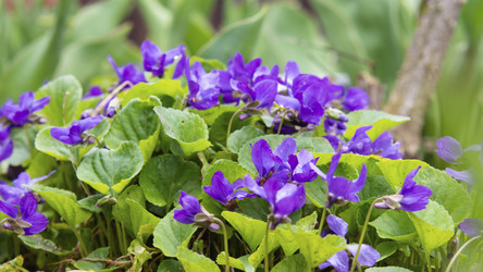 Similar image 21306111