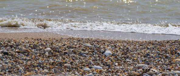 Similar image 21306112