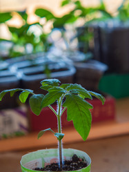 Similar image 21306113