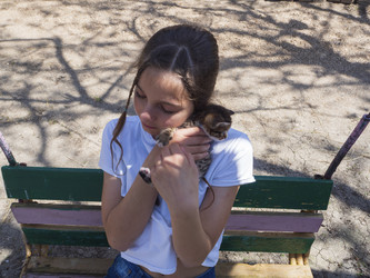 Similar image 21306120