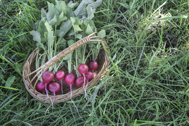 Similar image 21316068