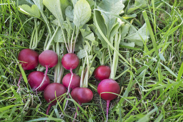 Similar image 21316069