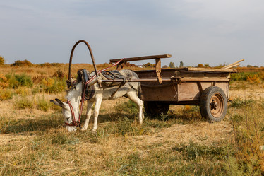 Similar image 21316920