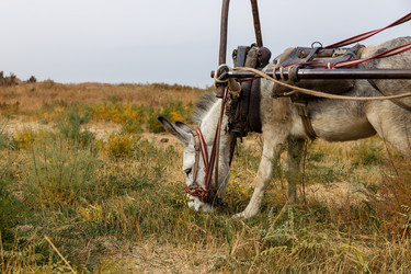 Similar image 21316923