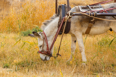 Similar image 21319952