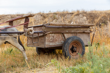 Similar image 21317055