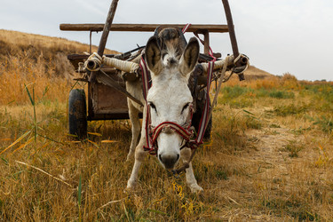 Similar image 21317062