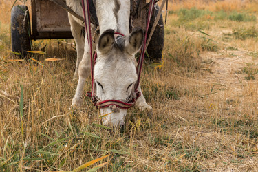 Similar image 21317063