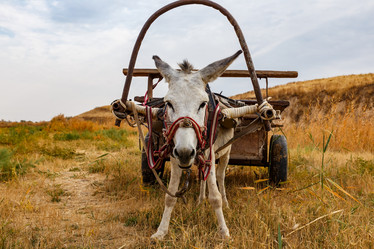 Similar image 21317064