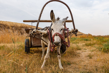 Similar image 21317065