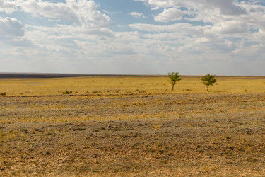 Similar image 21317087