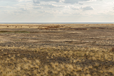 Similar image 21317089