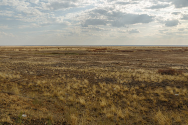 Similar image 21317090