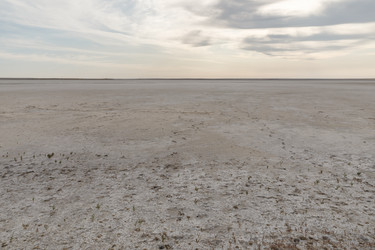 Similar image 21317096