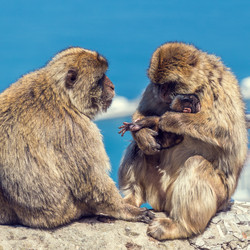 Similar image 21308622