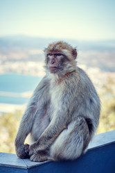 Similar image 21308626