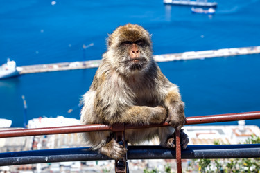 Similar image 21308630