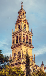 Similar image 21309945