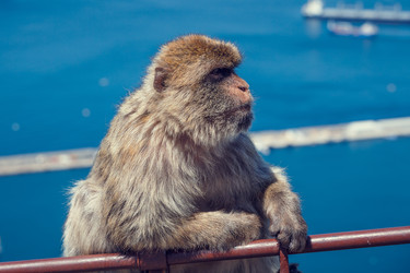 Similar image 21309947