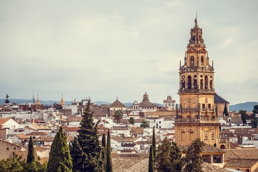 Similar image 21309949