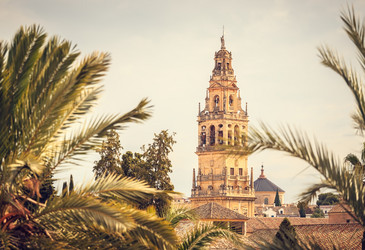 Similar image 21309951