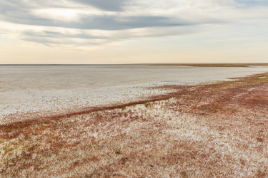 Similar image 21317098