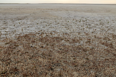 Similar image 21316728