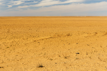 Similar image 21316732