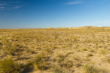 Similar image 21316736