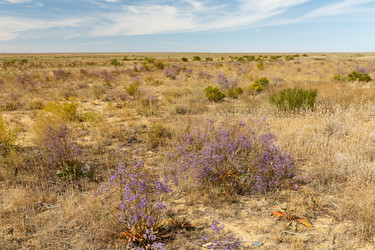 Similar image 21316739